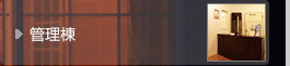 Ǘ