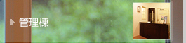 Ǘ